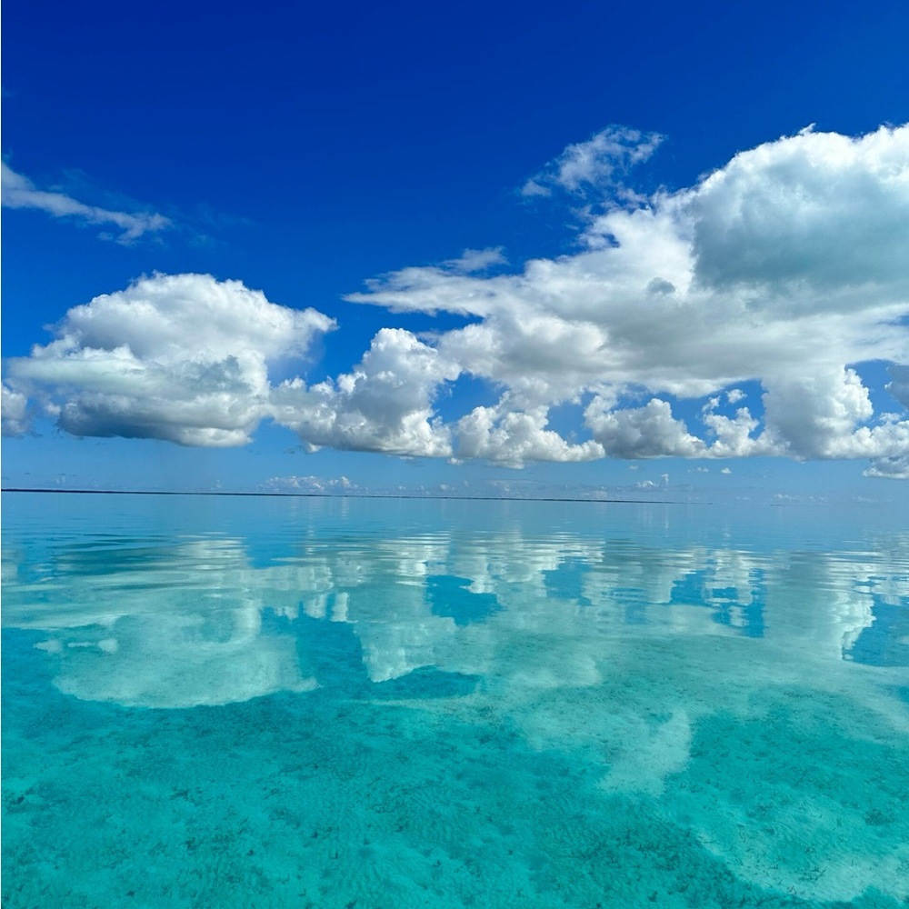 Meet your Posher, Symone